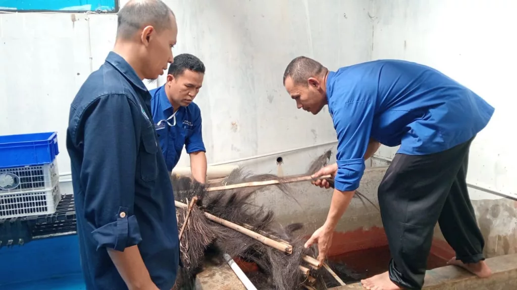 tingkatkan-kualitas-terampil-kompetensi-agincourt-resources-berdayakan-guru-vokasi 1