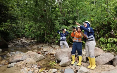Upholding Sustainable Conservation: Agincourt Resources to Establish Research Station in Batang Toru Ecosystem 