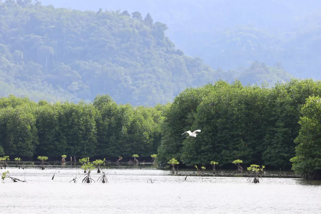 menyatukan-tambang-alam-dan-masyarakat