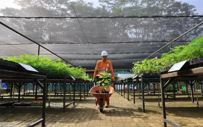 Mine Reclamation: Planting Hope, Preserving the Future