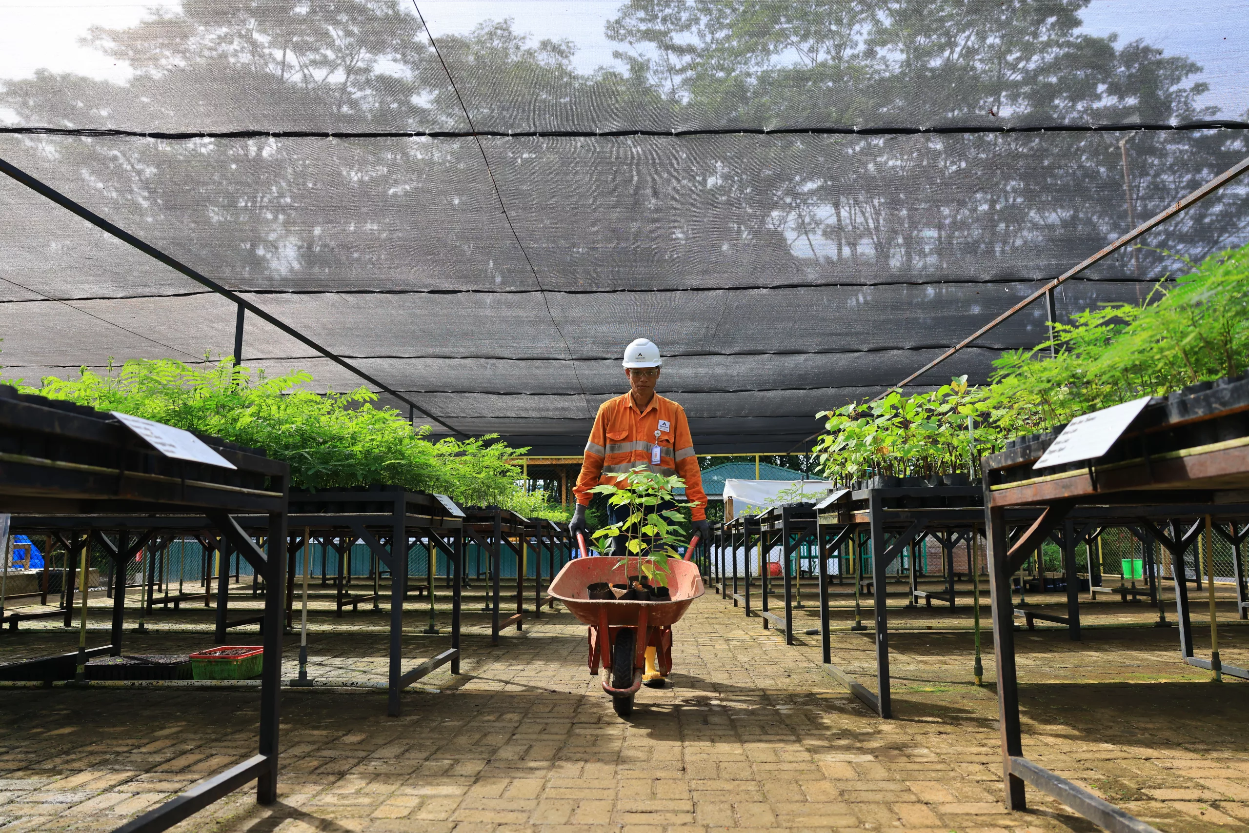 reklamasi-tambang-menanam-harapan-menjaga-masa-depan