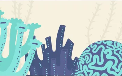 Understanding Coral Reefs and Their Benefits to the Ecosystem