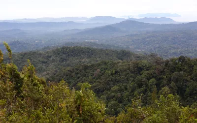 Harmony with Earth, Our Lasting Legacy: Understanding the Importance of BAMP for Life