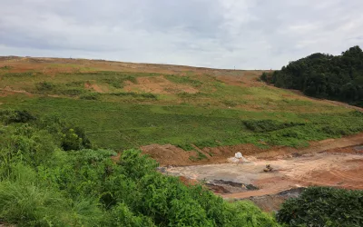 Reklamasi Bertahap untuk Masa Depan Lestari