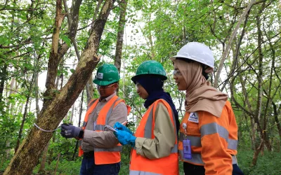 Post-Mining Reclamation: A Sustainable Effort for a Greener Future