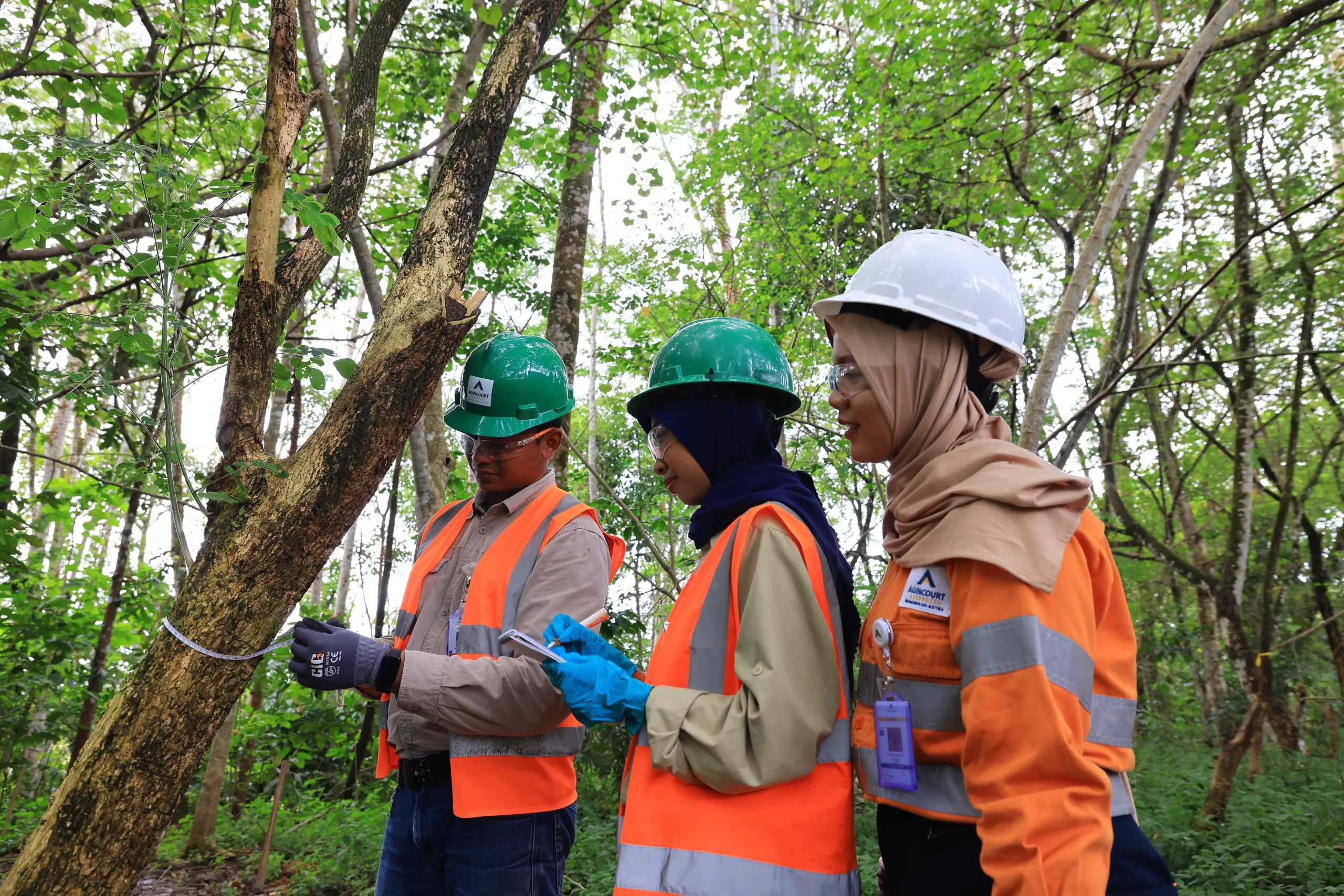 reklamasi-pascatambang-komitmen-berkelanjutan-untuk-masa-depan-yang-lebih-hijau reklamasi-pascatambang-komitmen-berkelanjutan-untuk-masa-depan-yang-lebih-hijau