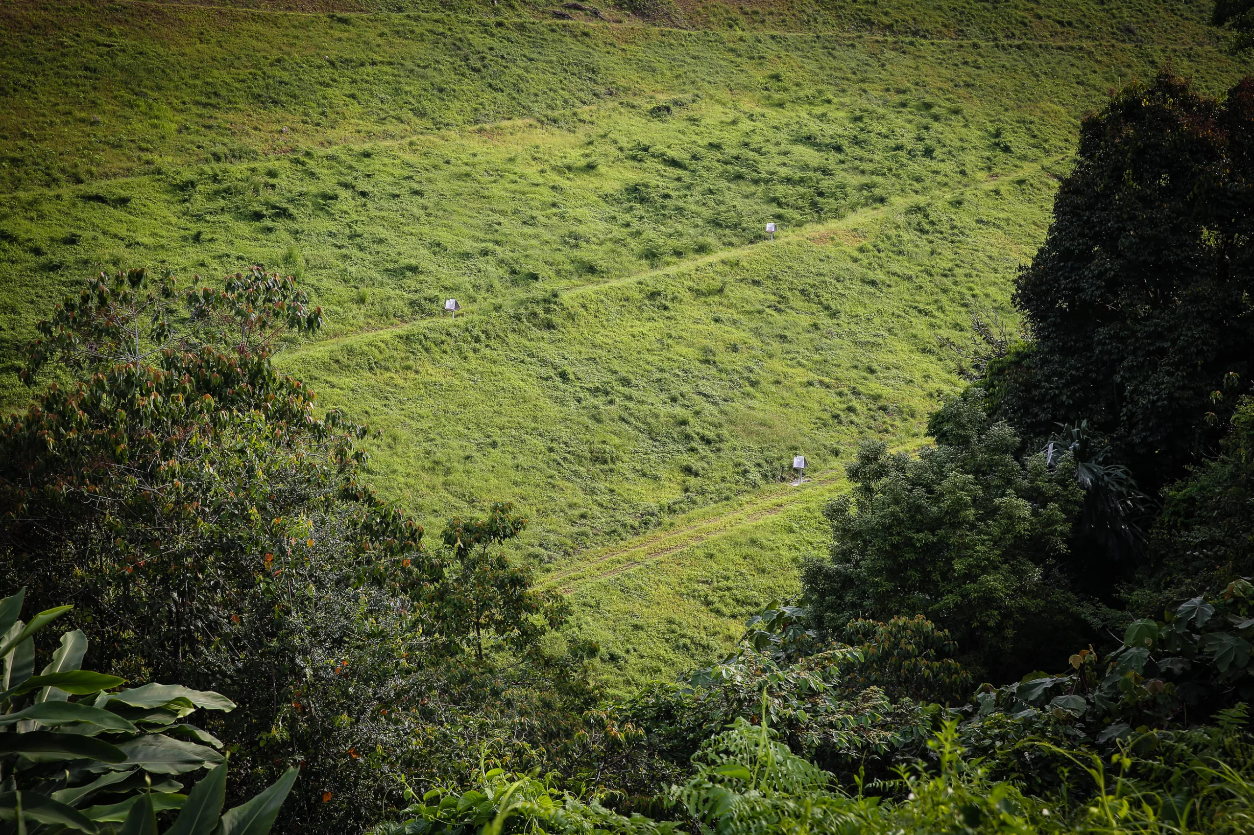 hydroseeding-hijaukan-martabe-pulihkan-alam