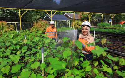 Nurturing the Earth from Its Roots: Introducing the Martabe Gold Mine Nursery Facility